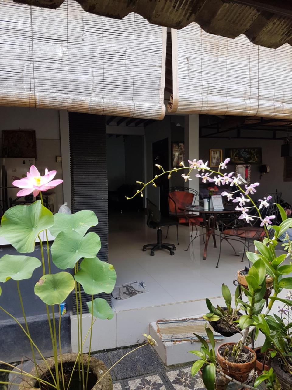 Mawar Homestay Canggu Eksteriør bilde