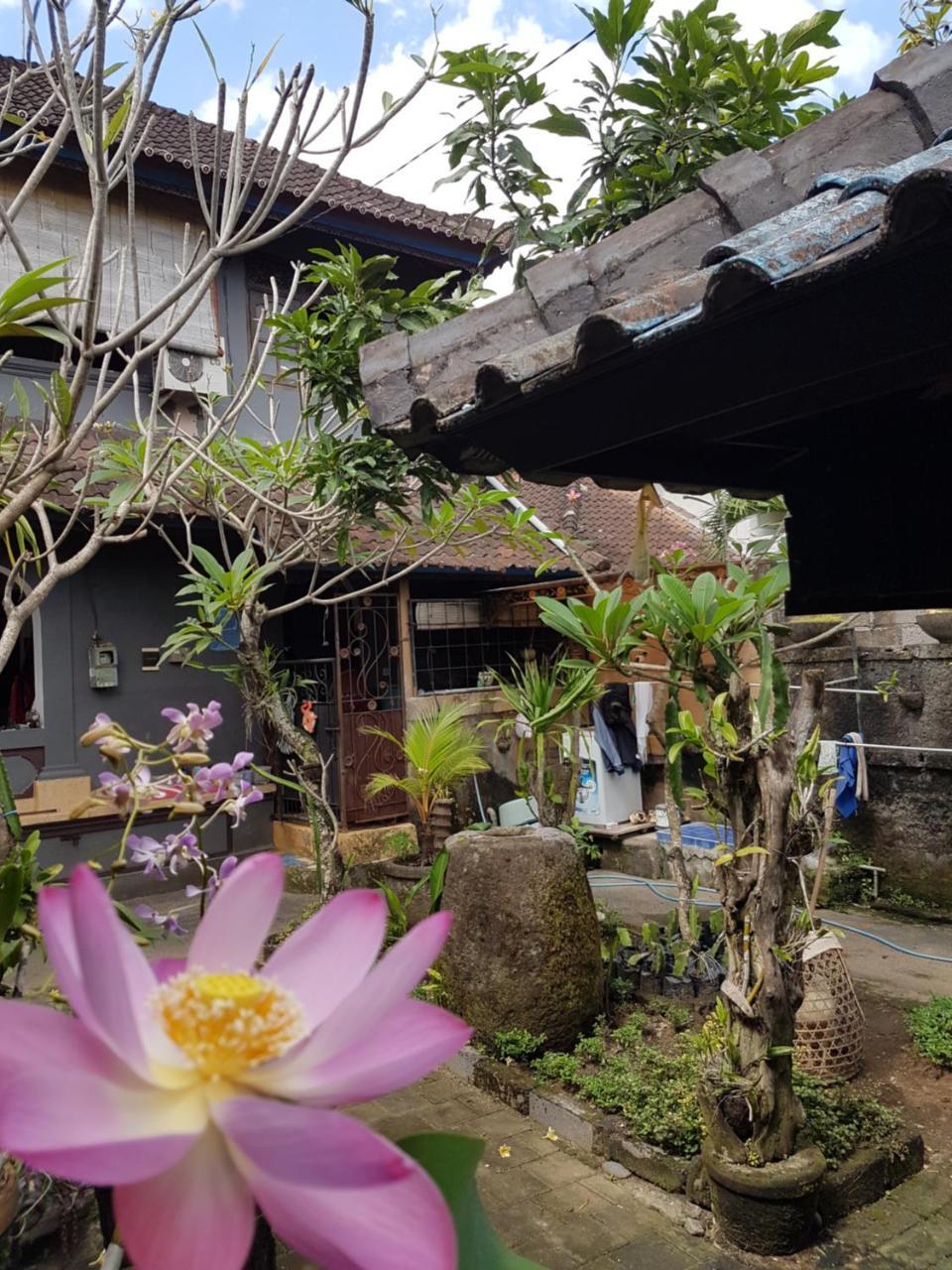 Mawar Homestay Canggu Eksteriør bilde